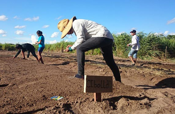 Youths working in the garden at NPH Bolivia